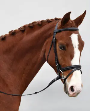 Fairhaven Plain Raised Bridle with Flash