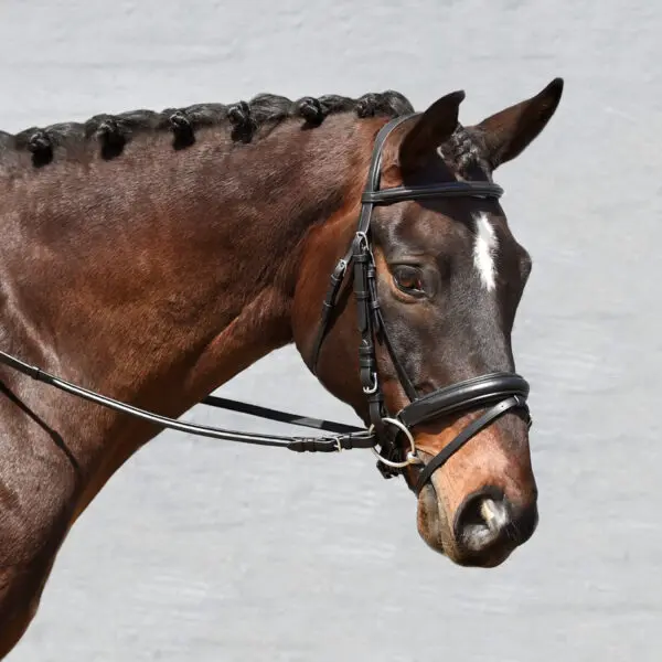 Signature Series Monocrown Padded Dressage Bridle with Crank - Image 2