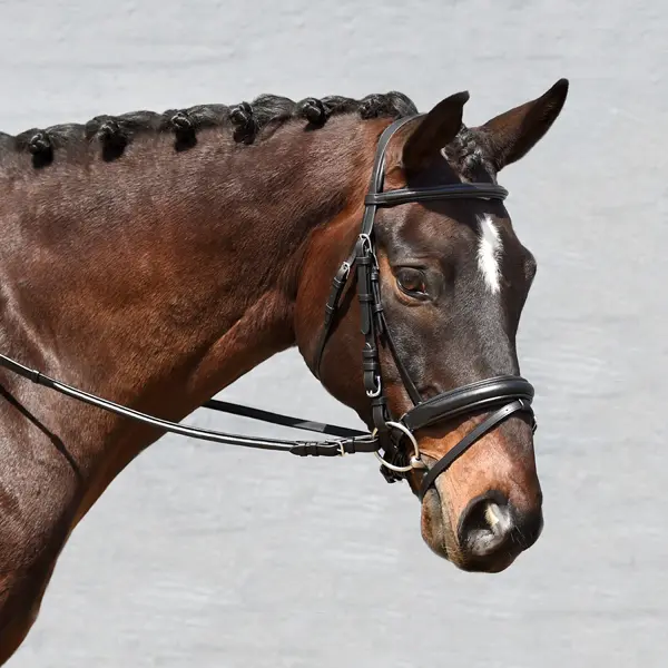Signature Series Monocrown Padded Dressage Bridle with Crank