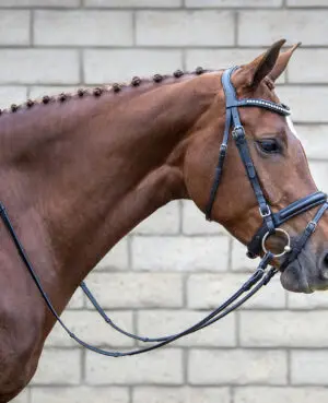Signature Series Padded Monocrown dressage bridle with curved padded bling browband