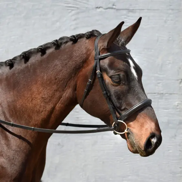 Signature Series Padded Monocrown Dressage Bridle - Image 2