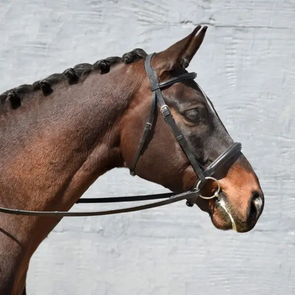 Signature Series Padded Monocrown Dressage Bridle - Image 3