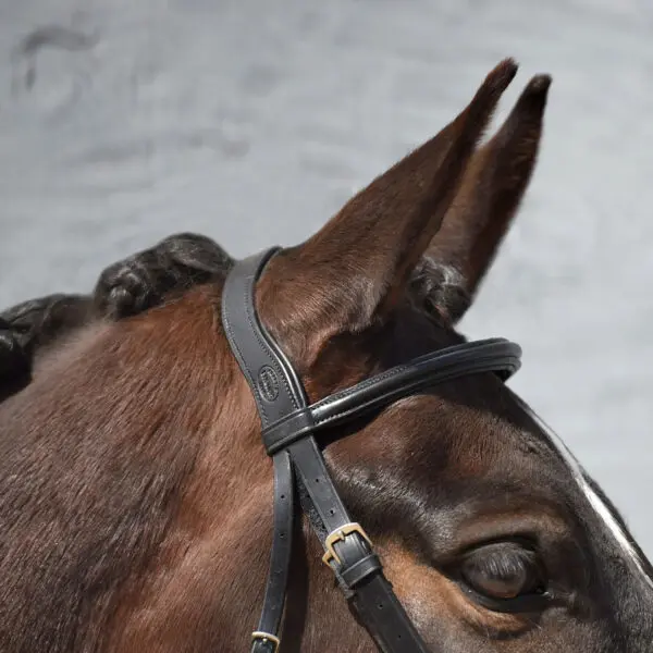 Signature Series Padded Monocrown Dressage Bridle - Image 4