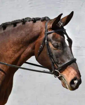 Signature Series Padded Monocrown Dressage Bridle