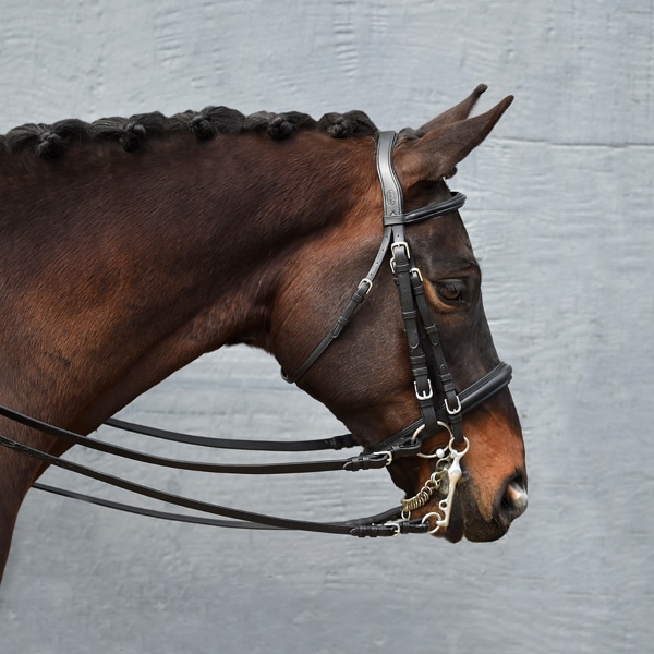 Bobby's Tack Padded Dressage Weymouth Double Bridle