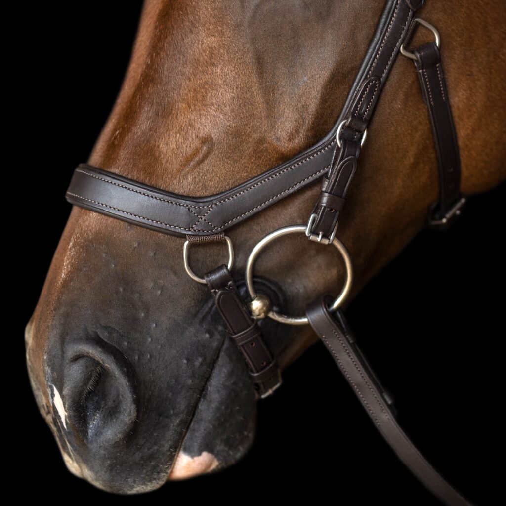 Bobby's Anatomical Bridle